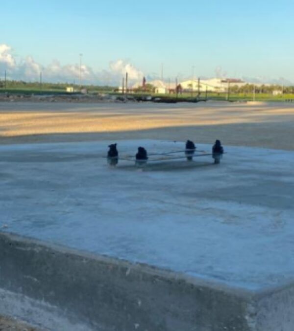 Airport Hangar Project