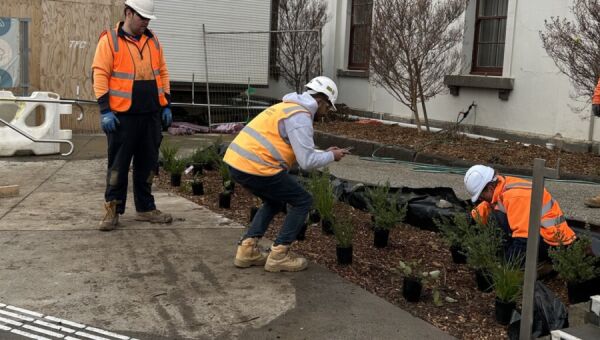 Empowering Inclusion Through Infrastructure: McCallum Industries